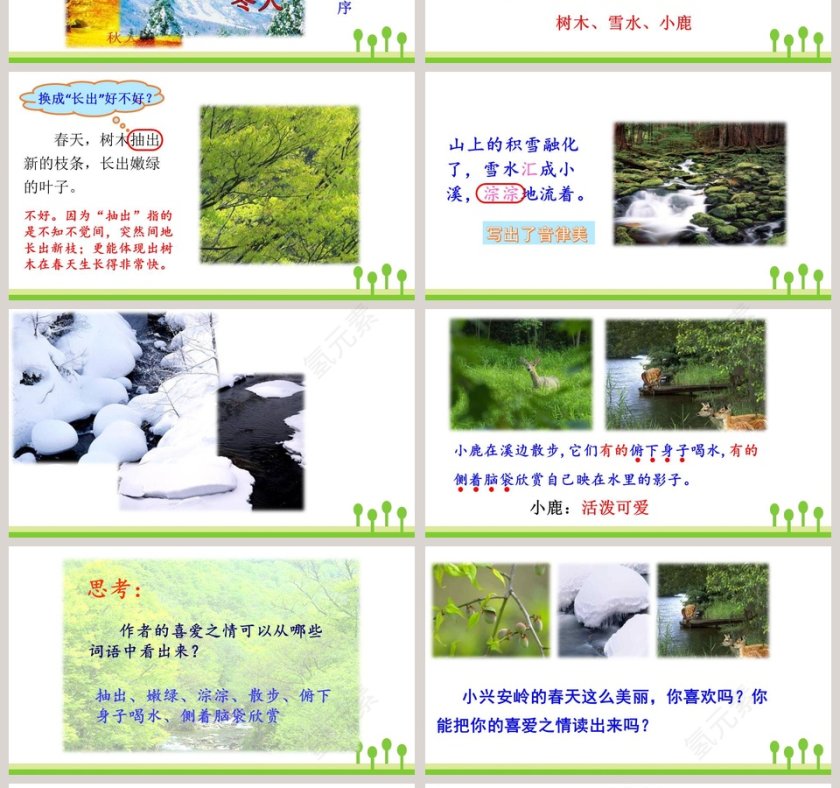 课文解读三年级语文上册美丽的小兴安岭语文课件PPT第4张