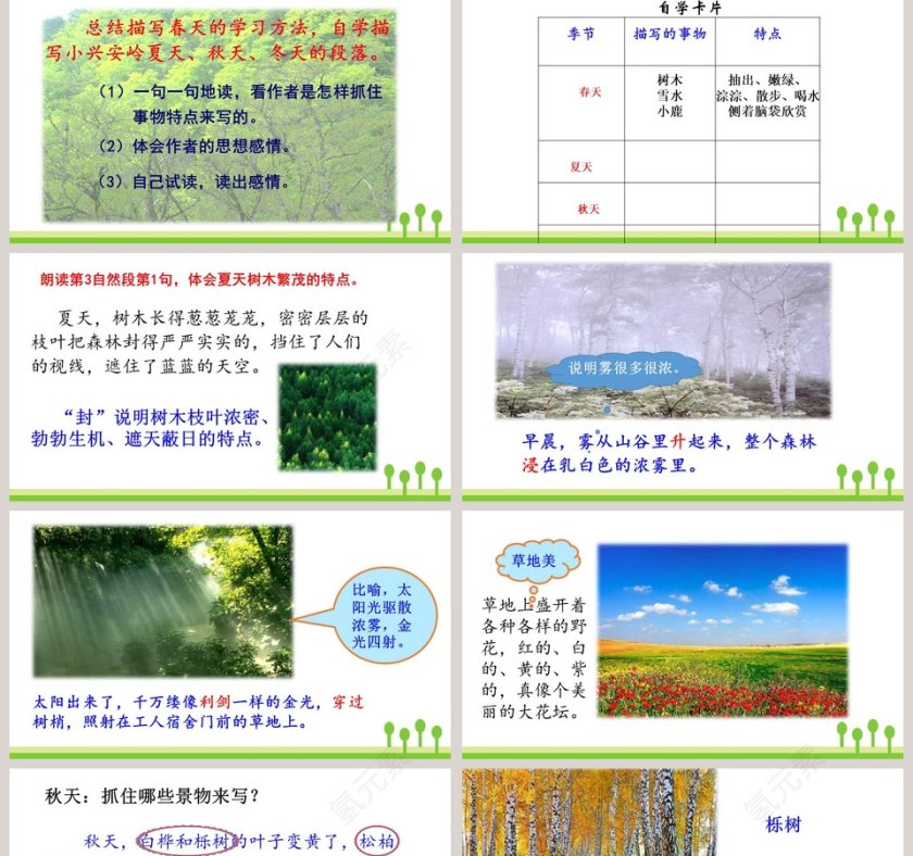 课文解读三年级语文上册美丽的小兴安岭语文课件PPT第5张