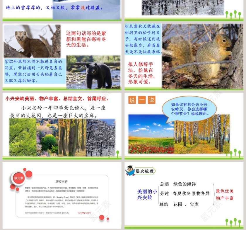 课文解读三年级语文上册美丽的小兴安岭语文课件PPT第7张