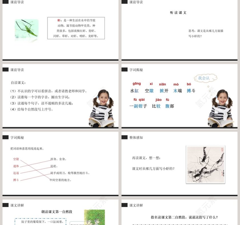 部编版三年级下册小虾语文课件PPT第2张