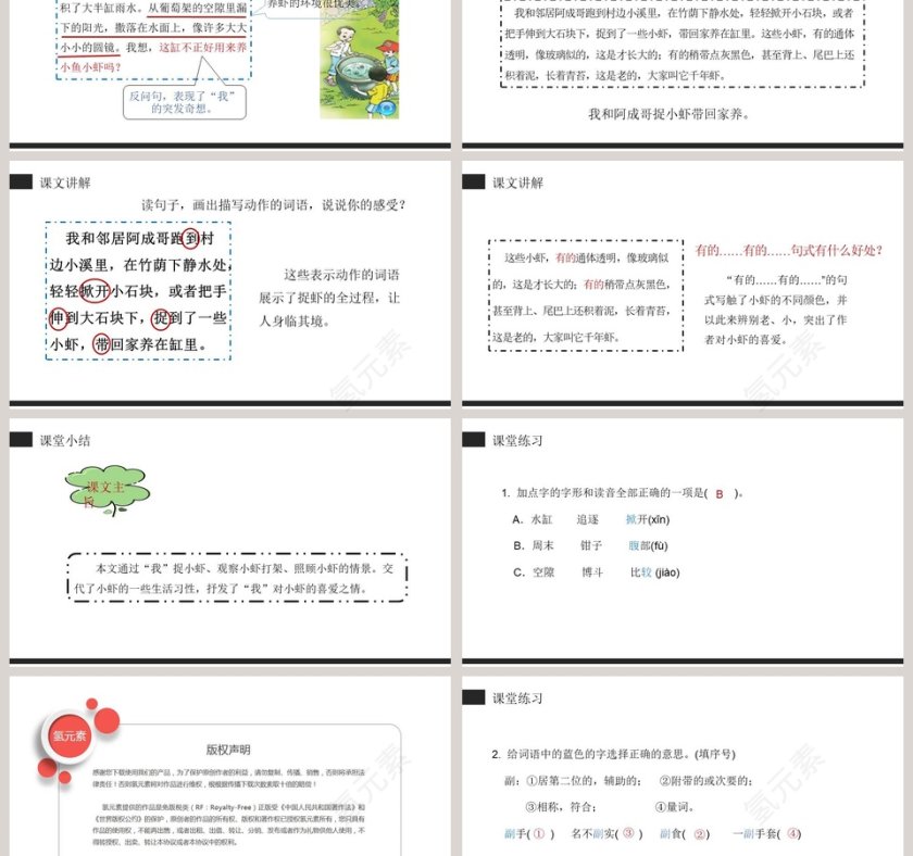 部编版三年级下册小虾语文课件PPT第3张