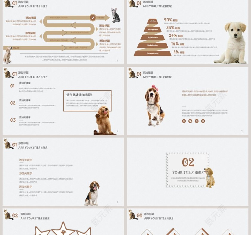 萌宠猫狗工作汇报教师公开课模板第2张