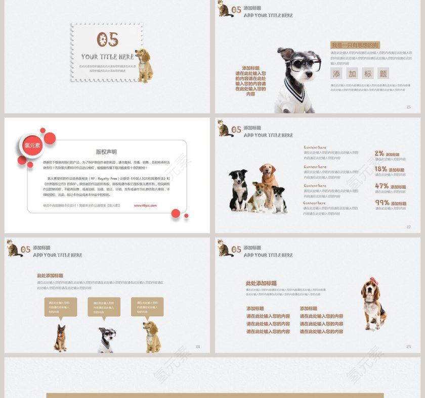 萌宠猫狗工作汇报教师公开课模板第5张