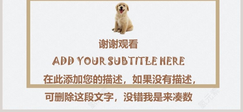 萌宠猫狗工作汇报教师公开课模板第6张