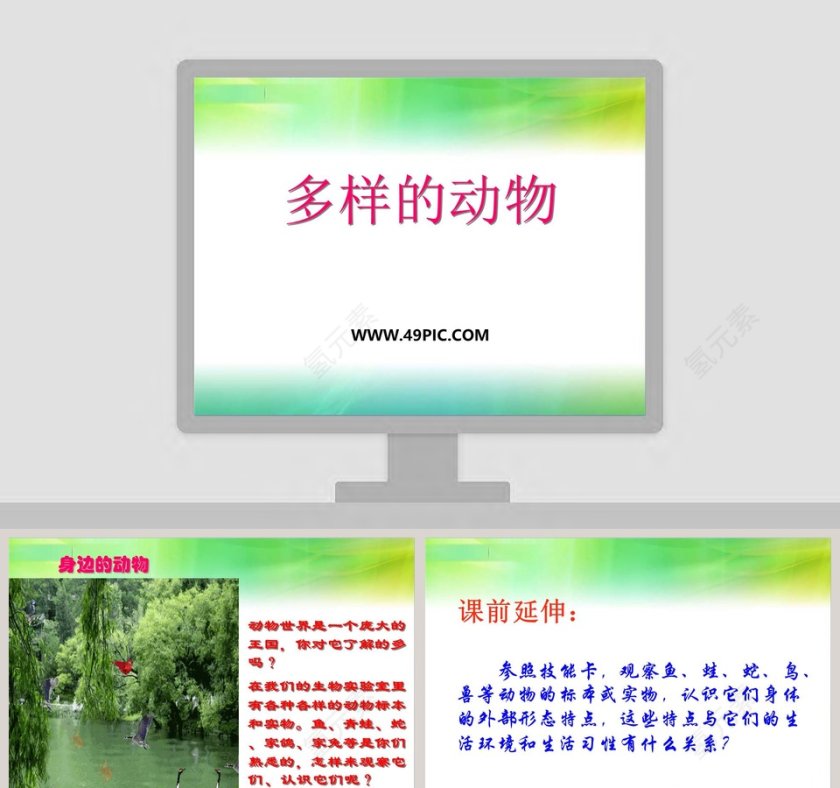 多样的动物教学ppt课件第1张
