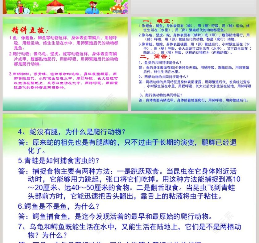 多样的动物教学ppt课件第4张