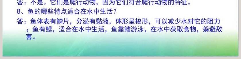 多样的动物教学ppt课件第5张