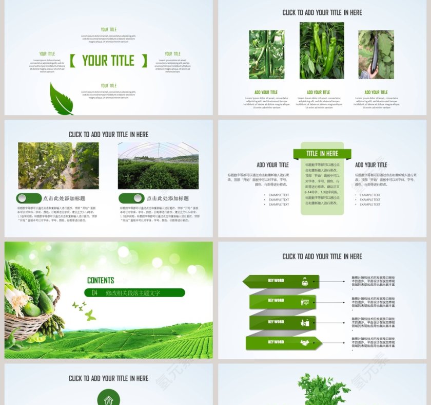 健康生活绿色环境保护主题PPT环保PPT模板第5张