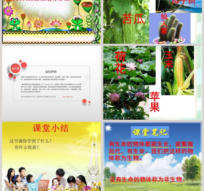 校园里有哪些动植物教学ppt课件第9张