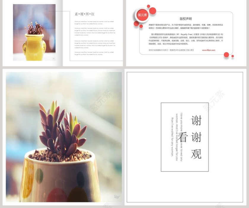 素履所往PPT第5张