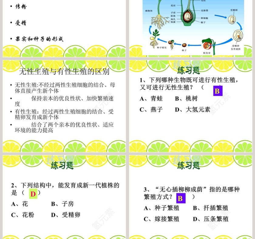 无心插柳柳成荫教学ppt课件第7张
