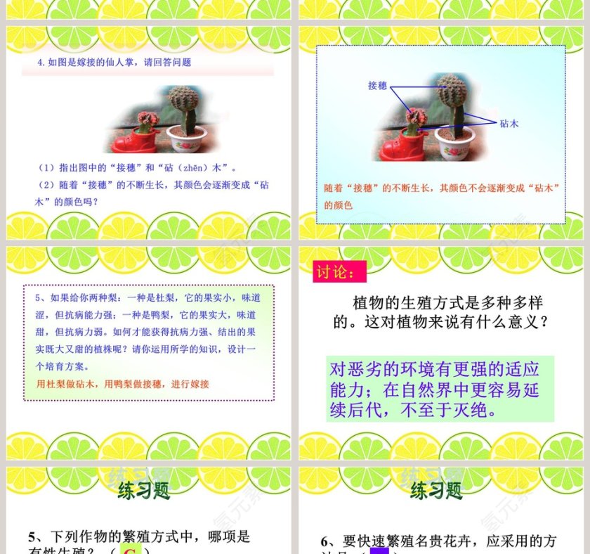 无心插柳柳成荫教学ppt课件第8张