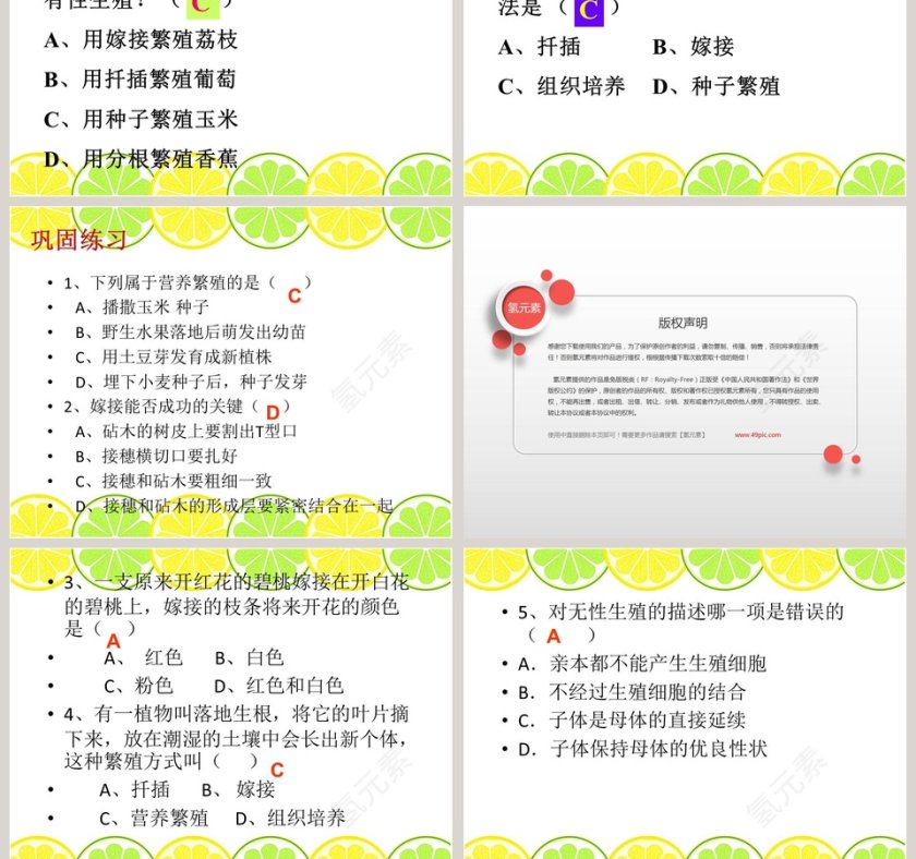 无心插柳柳成荫教学ppt课件第9张