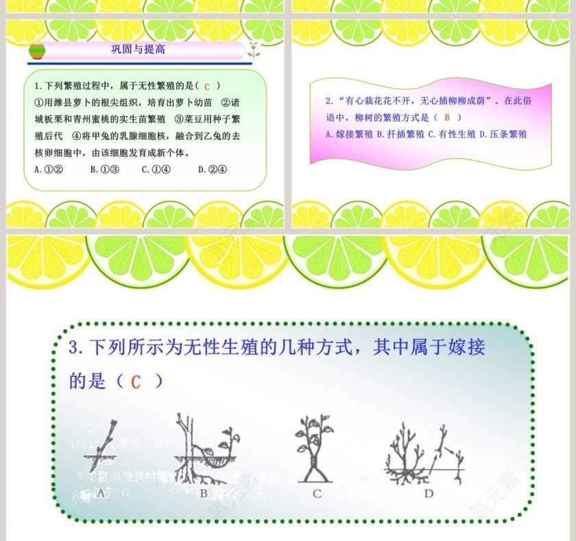 无心插柳柳成荫教学ppt课件第10张