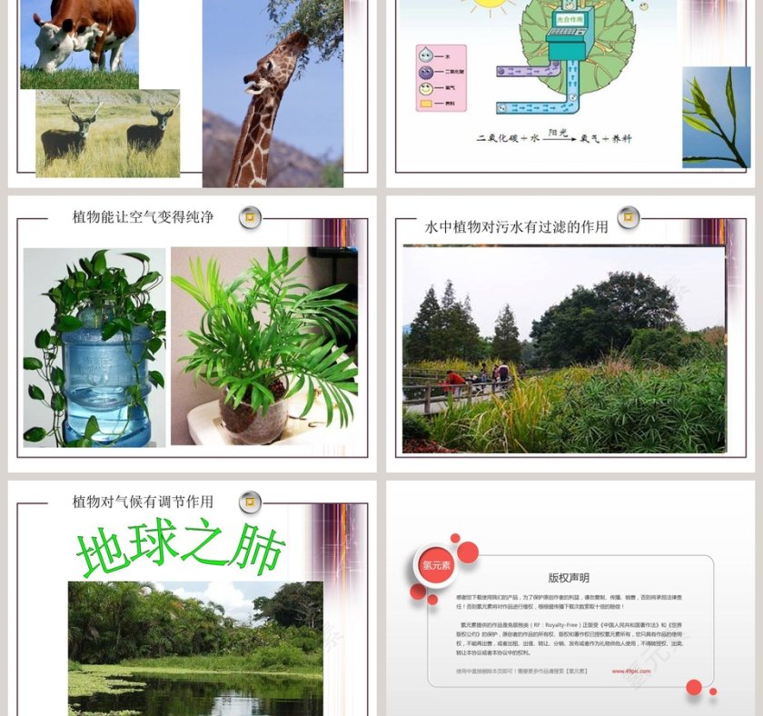 植物和我们的生活教学ppt课件第3张