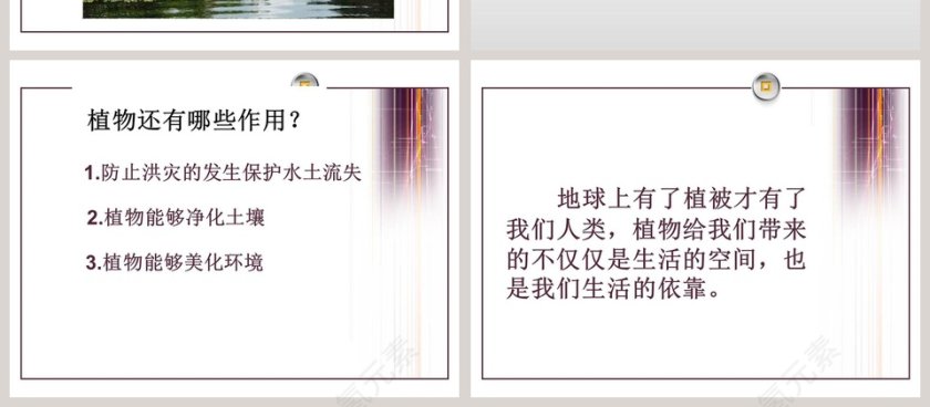 植物和我们的生活教学ppt课件第4张