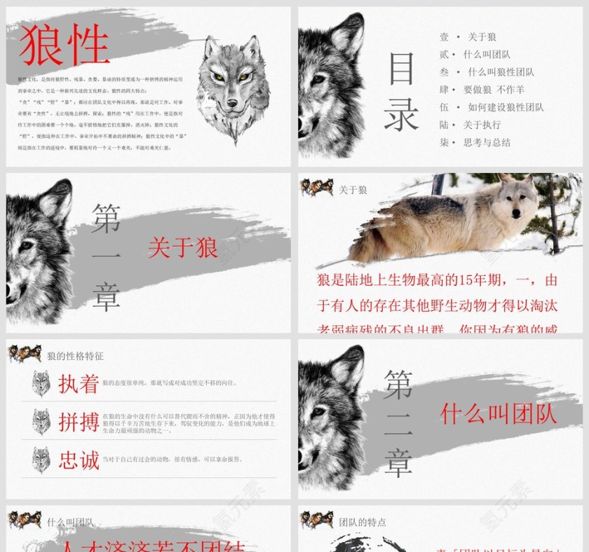 狼性文化商业计划书PPT第2张