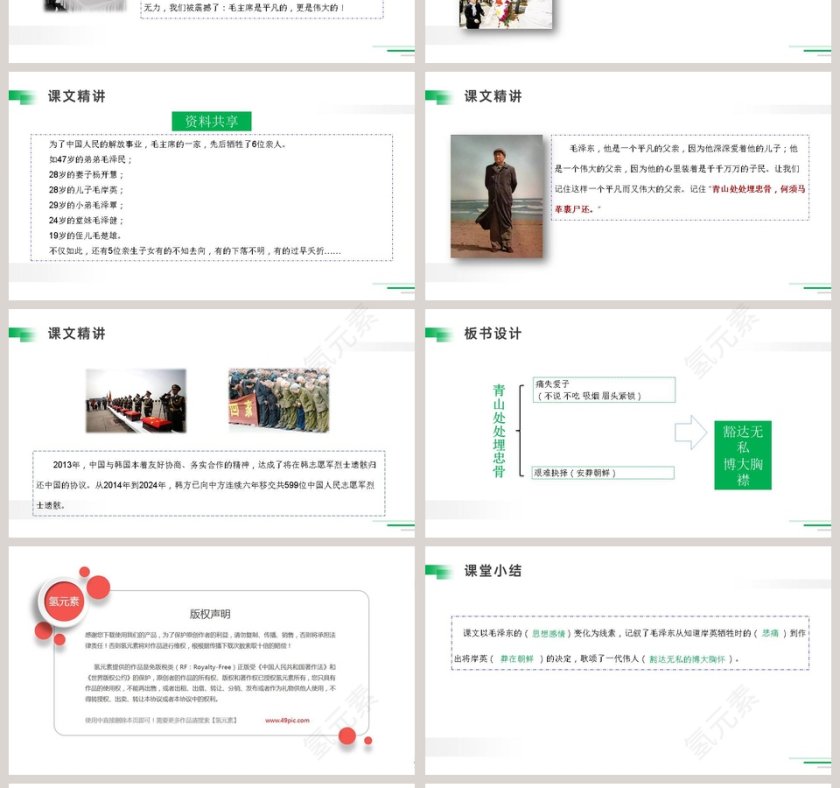 部编版五年级语文下册青山处处埋忠骨语文课件PPT第4张