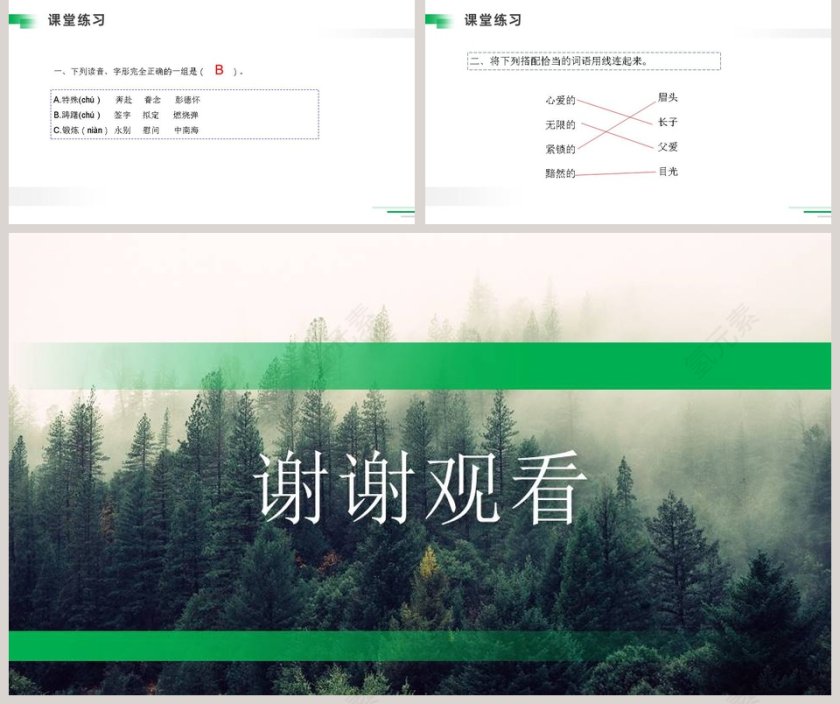 部编版五年级语文下册青山处处埋忠骨语文课件PPT第5张
