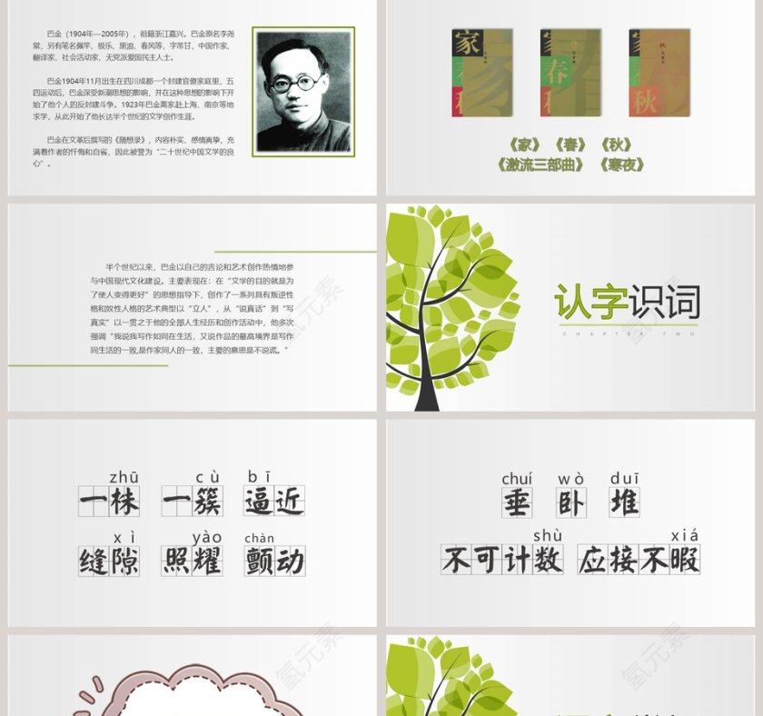 部编版四年级语文鸟的天堂PPT课件第2张