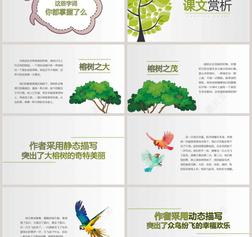 部编版四年级语文鸟的天堂PPT课件第3张