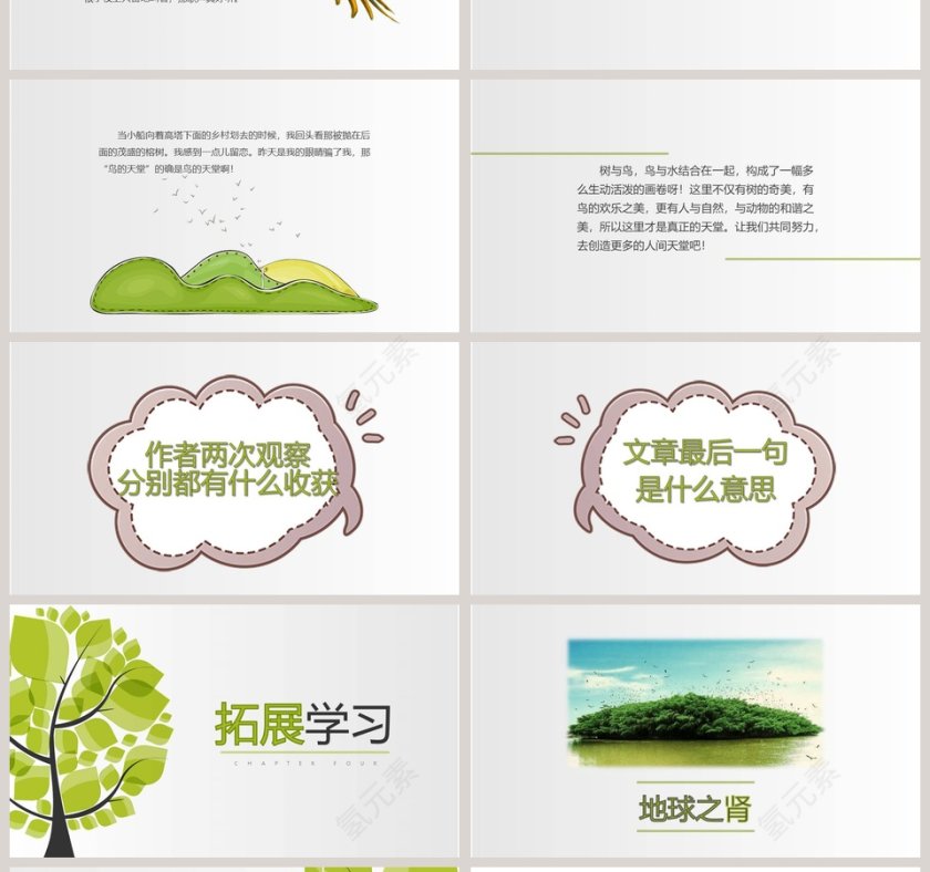部编版四年级语文鸟的天堂PPT课件第4张