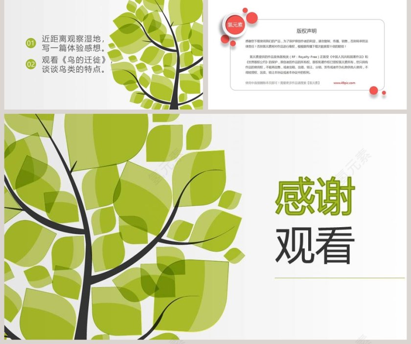 部编版四年级语文鸟的天堂PPT课件第5张