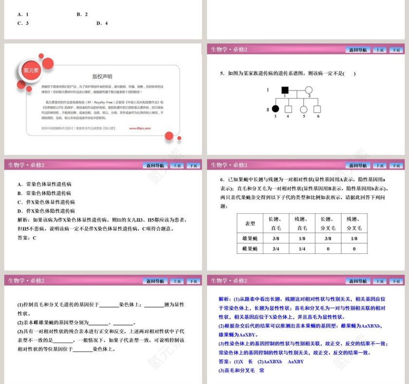 第-3教学ppt课件第10张