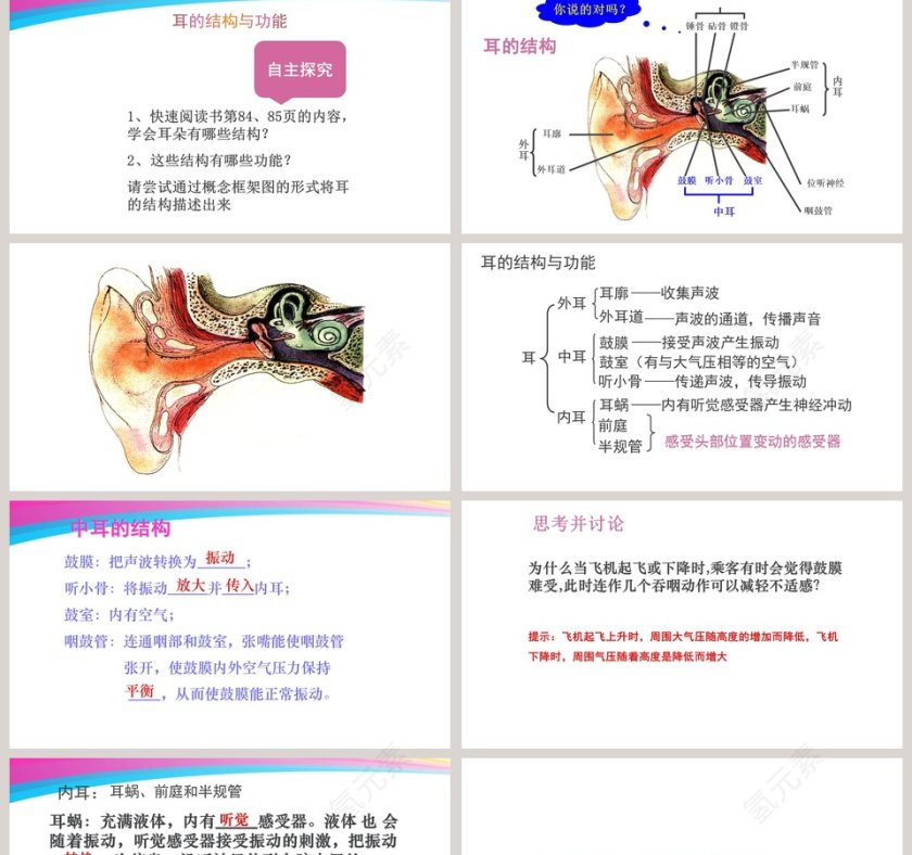 第-章人体的自我调节教学ppt课件第2张