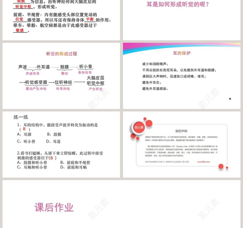 第-章人体的自我调节教学ppt课件第3张