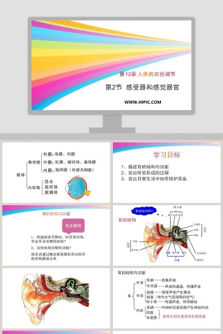 第-章人体的自我调节教学ppt课件