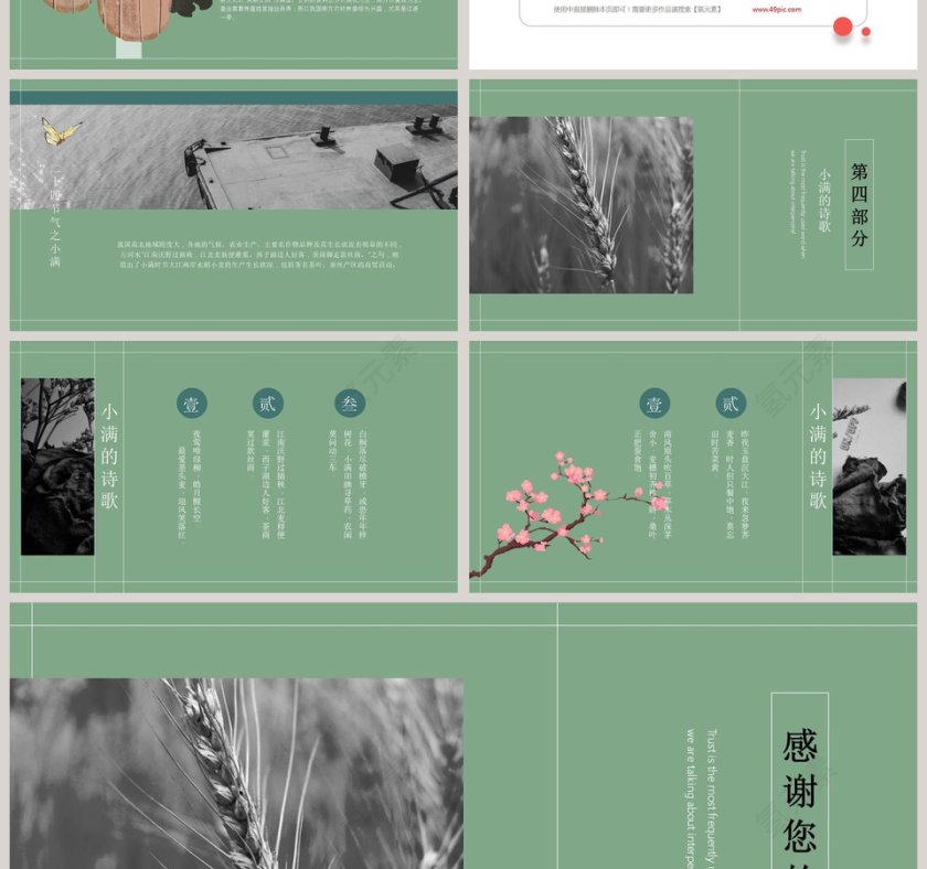 简约绿色二十四节气之小满ppt模板第4张