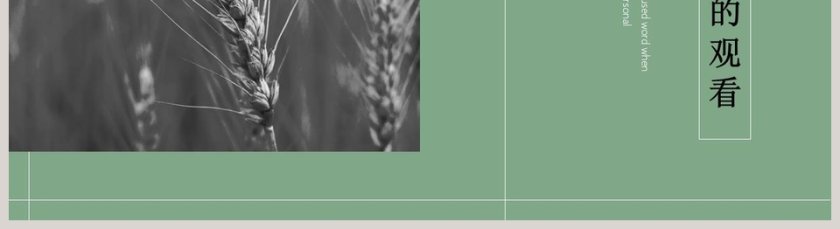 简约绿色二十四节气之小满ppt模板第5张