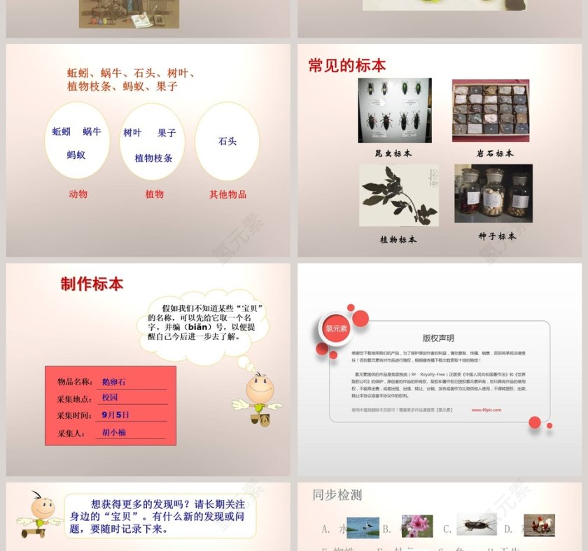 整理百宝箱-第教学ppt课件第2张