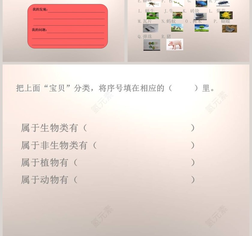 整理百宝箱-第教学ppt课件第3张