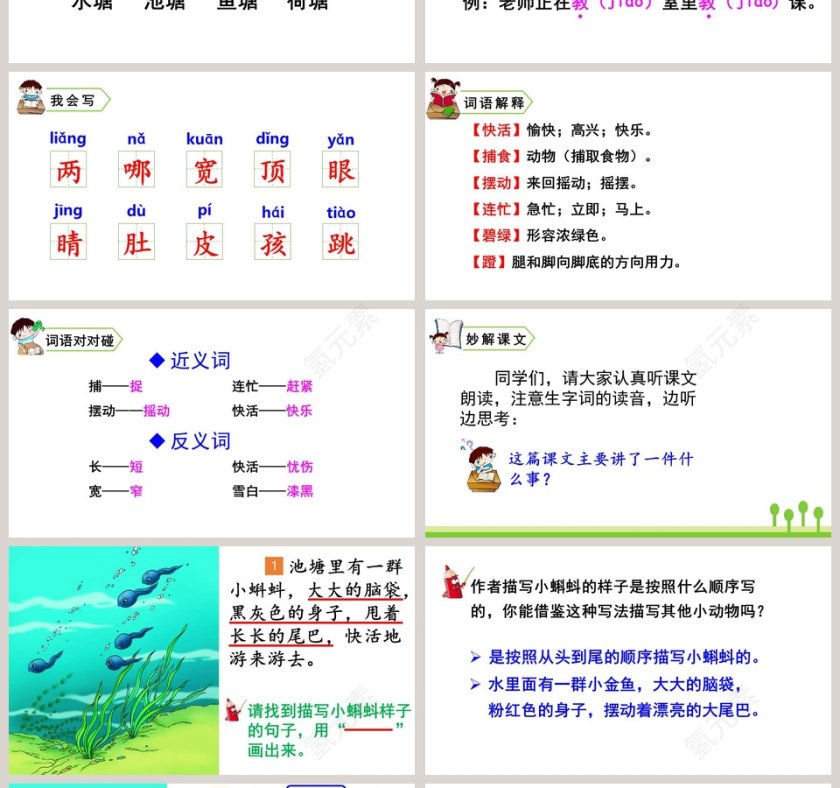 课文解析二年级语文上册小蝌蚪找妈妈语文课件PPT第4张
