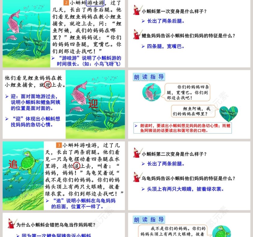 课文解析二年级语文上册小蝌蚪找妈妈语文课件PPT第5张