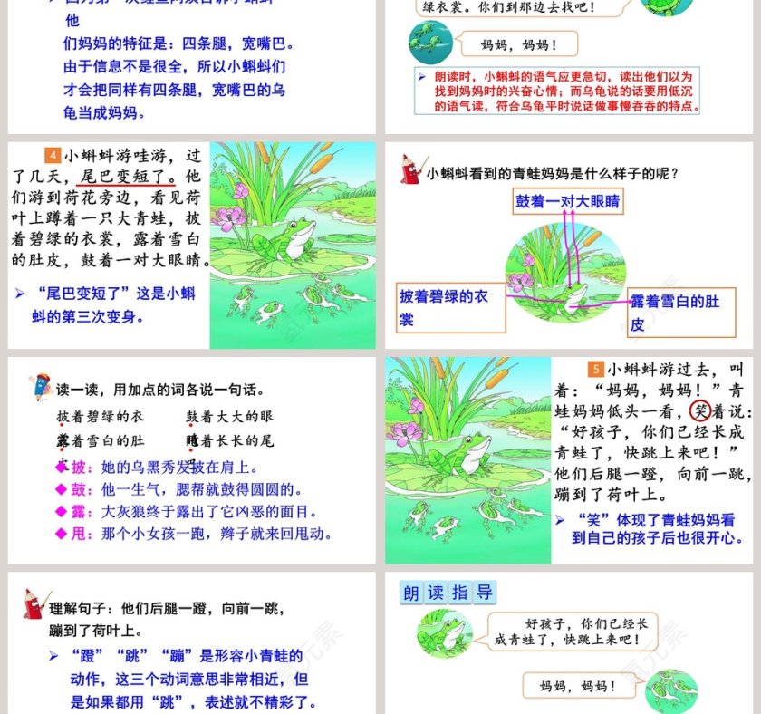 课文解析二年级语文上册小蝌蚪找妈妈语文课件PPT第6张