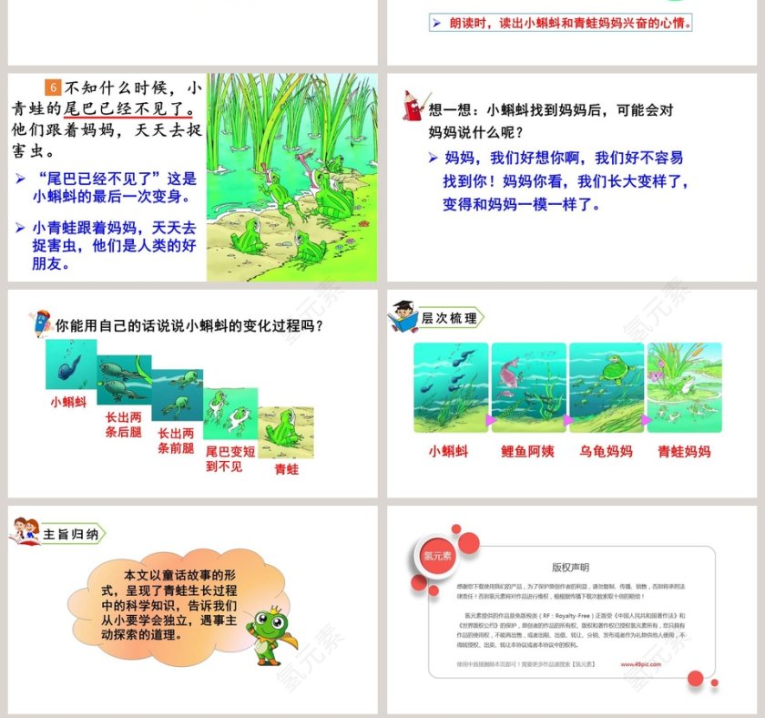 课文解析二年级语文上册小蝌蚪找妈妈语文课件PPT第7张