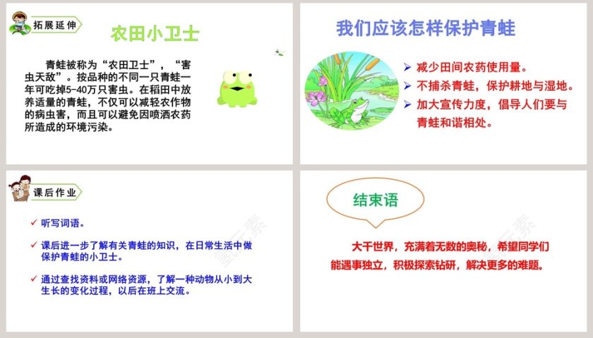 课文解析二年级语文上册小蝌蚪找妈妈语文课件PPT第8张