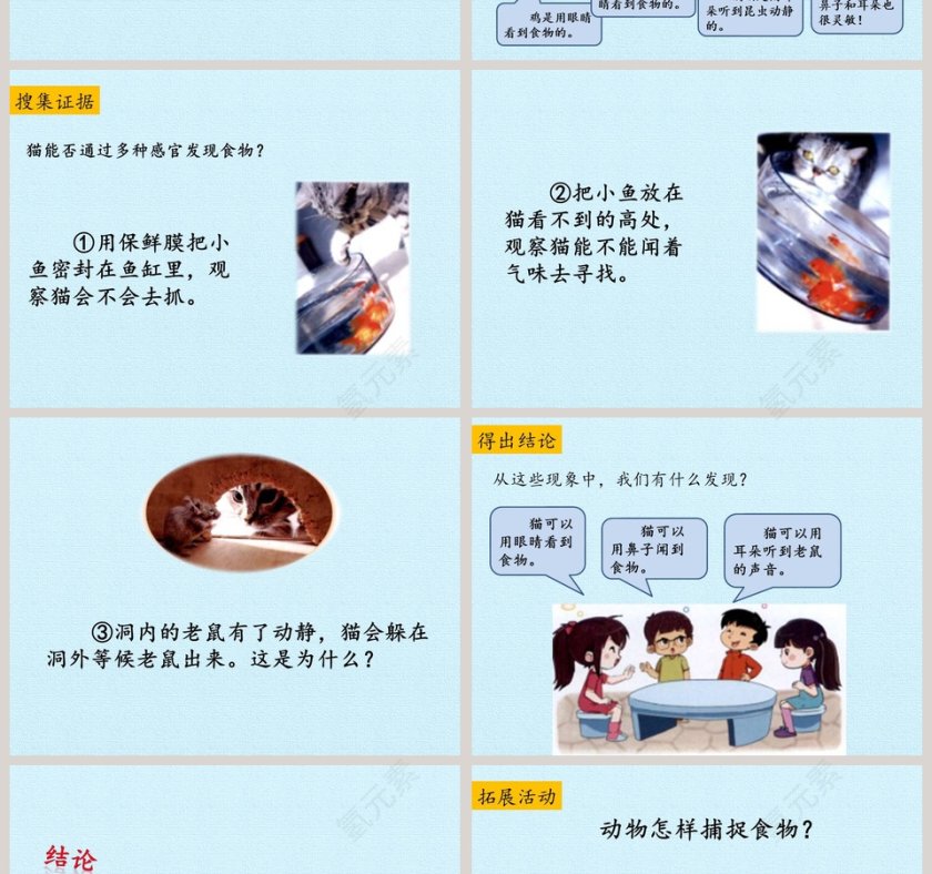 动物觅食教学ppt课件第2张