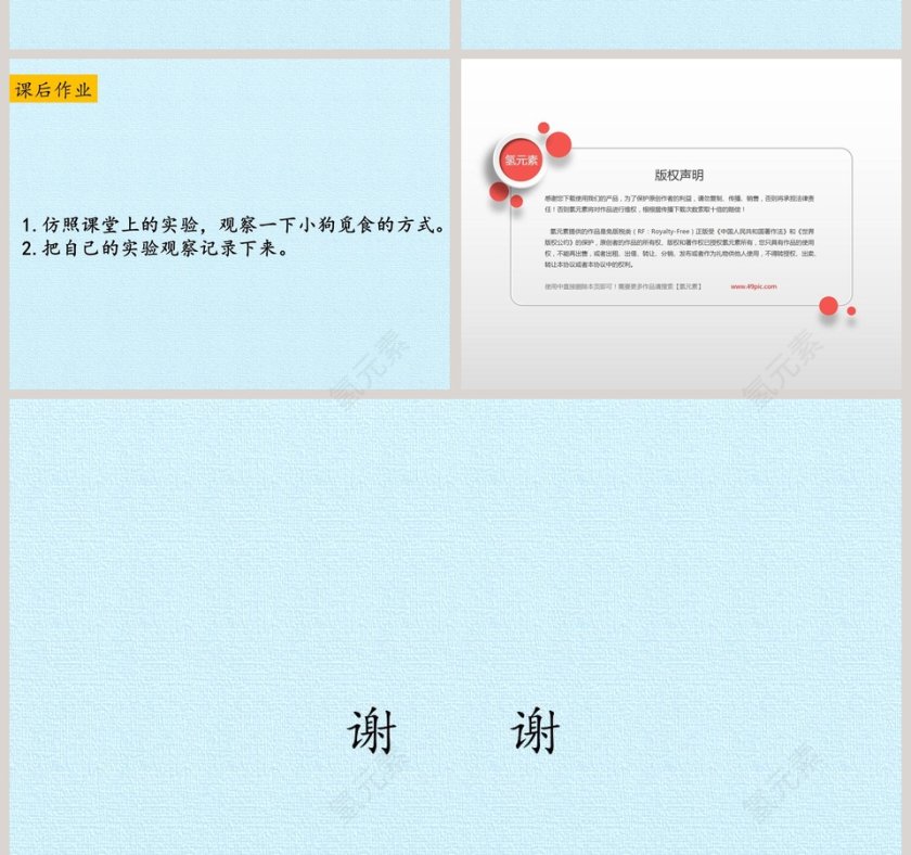 动物觅食教学ppt课件第4张