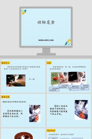动物觅食教学ppt课件