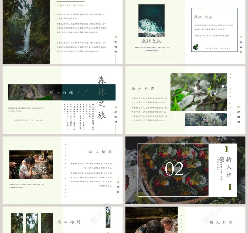 森林之旅PPT第2张