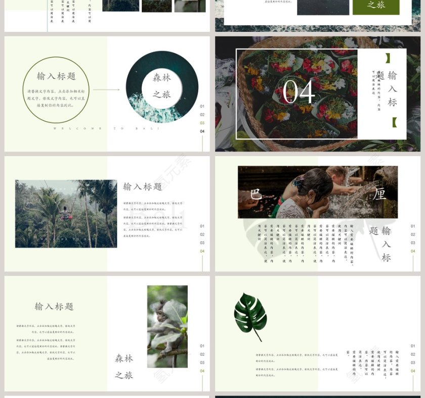 森林之旅PPT第4张