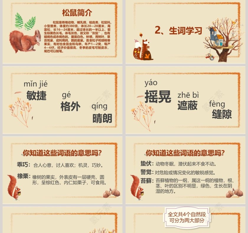 部编版五年级松鼠语文课件PPT第2张