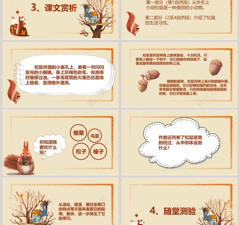 部编版五年级松鼠语文课件PPT第3张