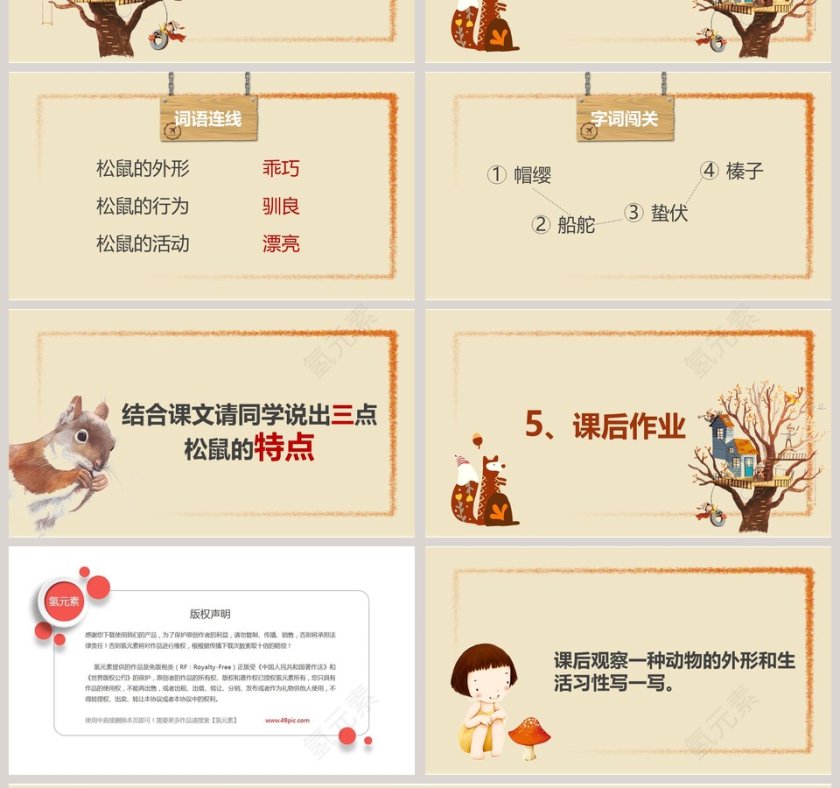 部编版五年级松鼠语文课件PPT第4张