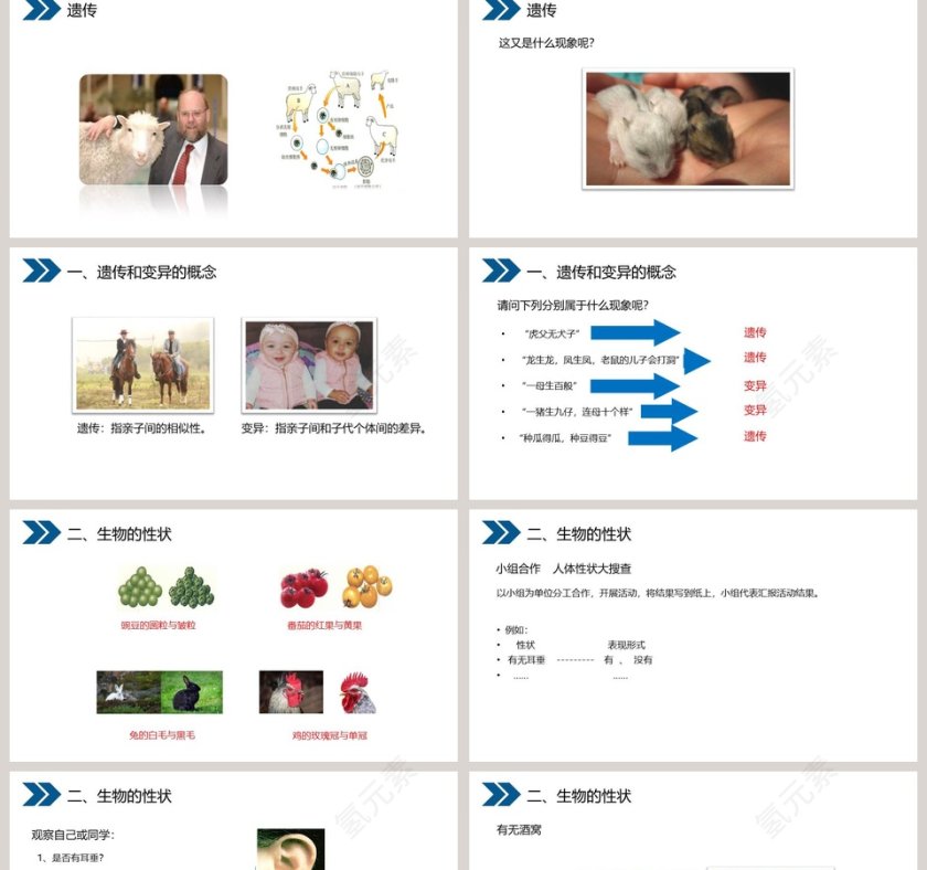 人教版初中生物八年级下册教学ppt课件第2张