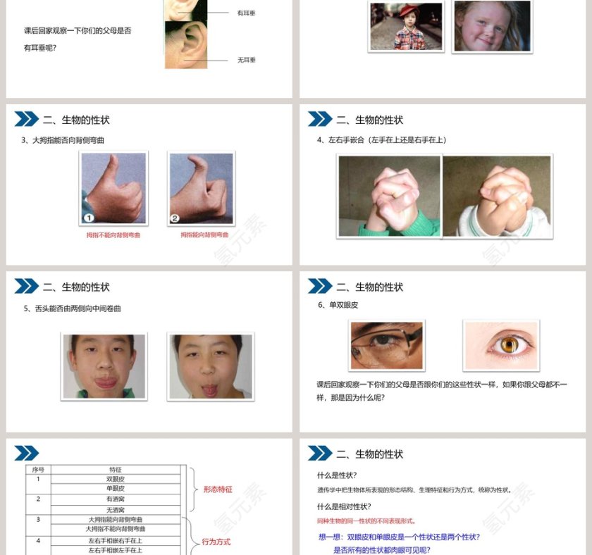 人教版初中生物八年级下册教学ppt课件第3张